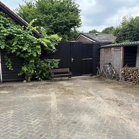 Cozy Vacation In The Forest