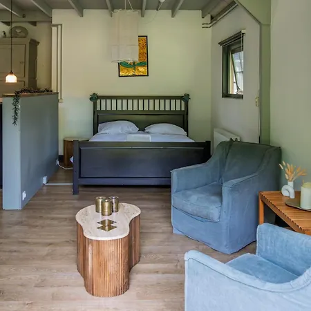 Cozy Vacation In The Forest