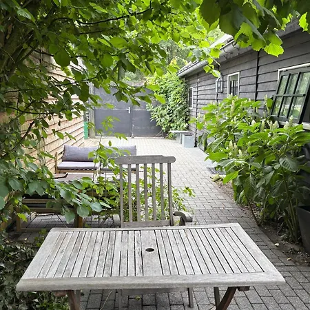 Cozy Vacation In The Forest Апартаменты *