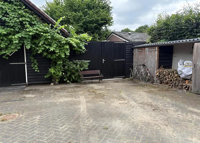 Cozy Vacation In The Forest